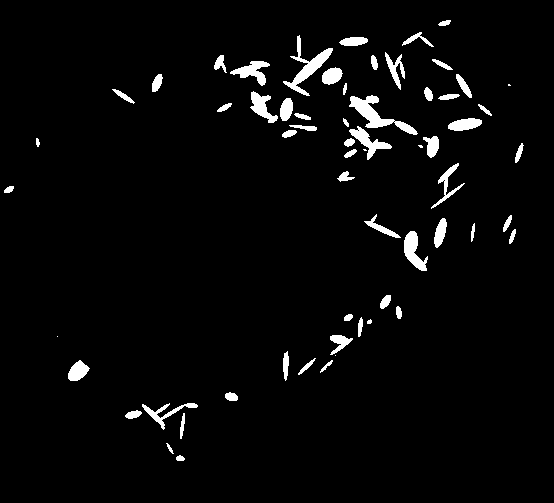 _images/Lysoslice.png