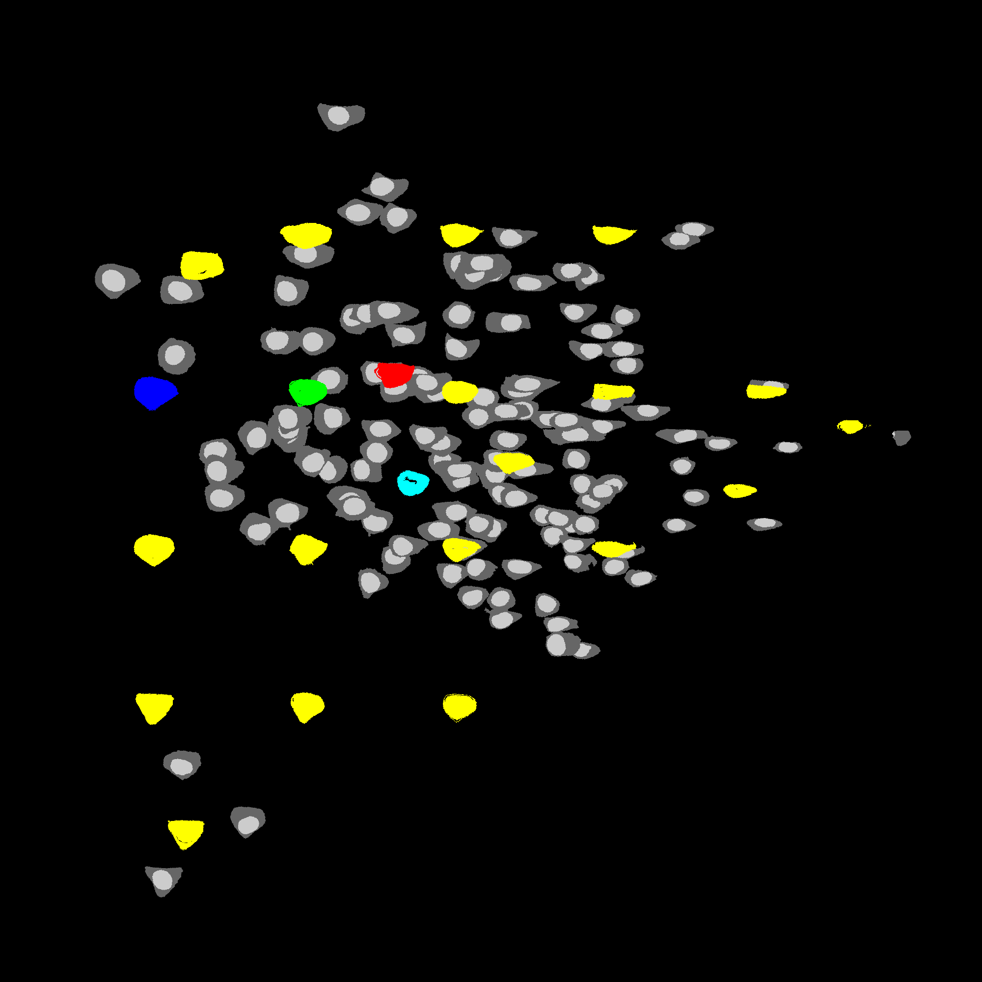 _images/ShapeSpaceSelect.png